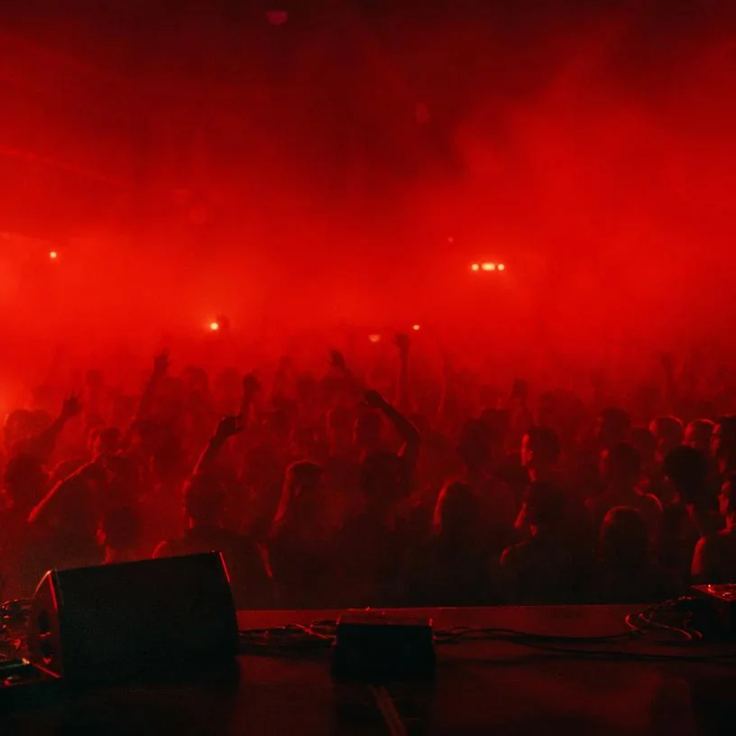 Dancing crowd seen from the stage
